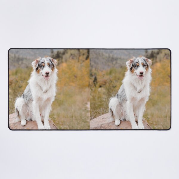 Item preview, Fluffy Australian Shepherd on Mountain Rock designed and sold by VanGaldo.