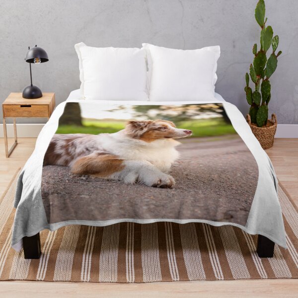 Item preview, Cute Australian Shepherd Lying On Path designed and sold by VanGaldo.