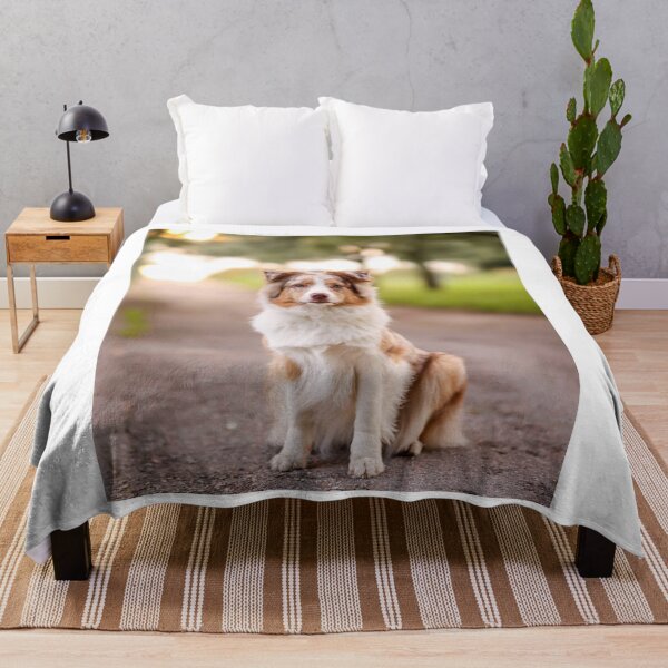 Item preview, Cute Australian Shepherd Sitting On Path designed and sold by VanGaldo.
