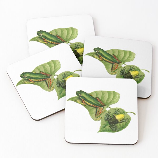 Item preview, Monkey frog and tree frog antique illustration designed and sold by Anne Londez Studio.