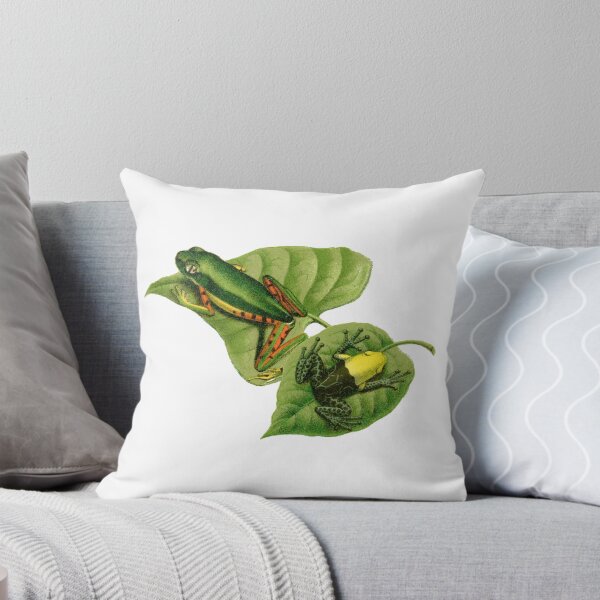 Item preview, Monkey frog and tree frog antique illustration designed and sold by Anne Londez Studio.