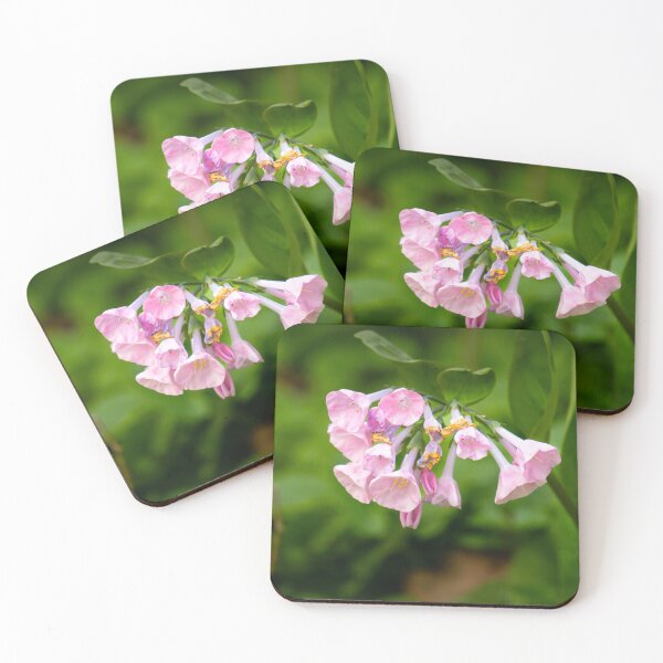 Item preview, Pink Bluebells designed and sold by TinyDinoDesigns.