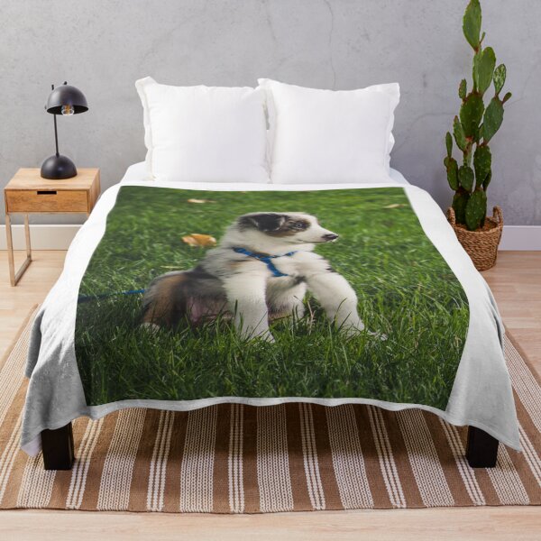 Item preview, Cute Aussie Shepherd Puppy In Harness designed and sold by VanGaldo.