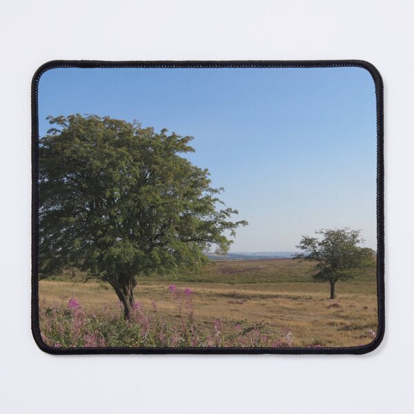 Item preview, Solitude on the Moor designed and sold by Astute-Artio-Photography.