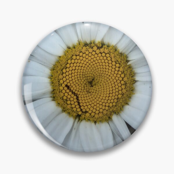 Item preview, Daisy, large seen growing in the garden. designed and sold by country craft designs.