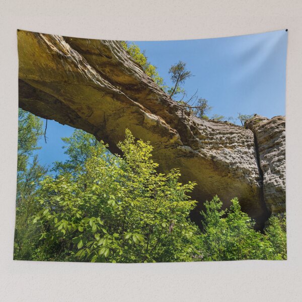 Item preview, Under the Narural Bridge designed and sold by TinyDinoDesigns.