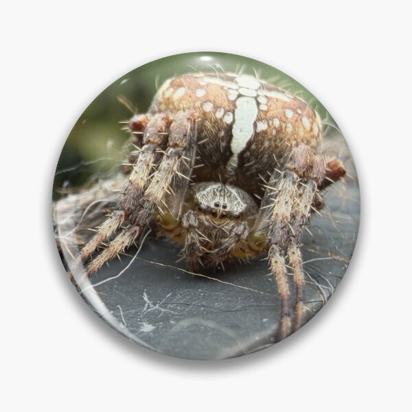 Item preview, The Cross Spider, Close-up Encounter designed and sold by Astute-Artio-Photography.