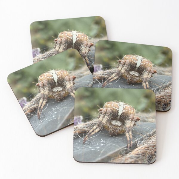Item preview, The Cross Spider, Close-up Encounter designed and sold by Astute-Artio-Photography.
