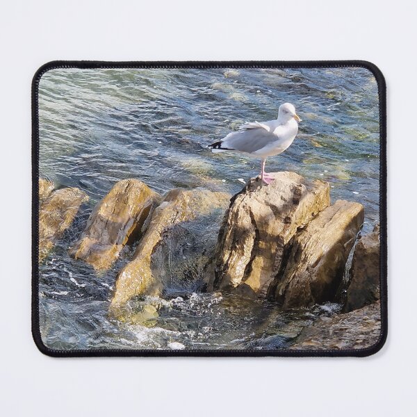Item preview, A Seagull having a rest on some seaside rocks. designed and sold by country craft designs.