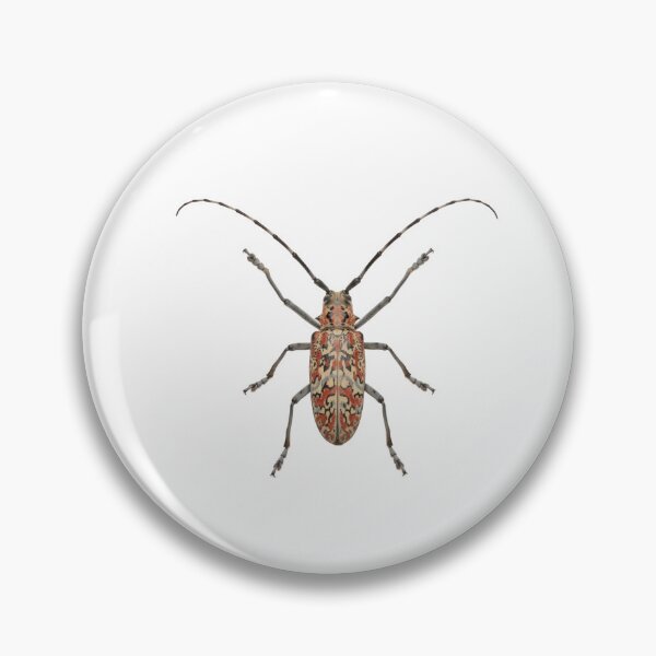 Item preview, Harlequin Beetle – Vivid Rainforest Portrait designed and sold by Helt-enkelt.