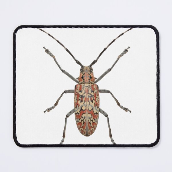 Item preview, Harlequin Beetle – Vivid Rainforest Portrait designed and sold by Helt-enkelt.