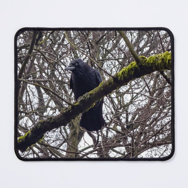 Item preview, The Watchful Crow designed and sold by Astute-Artio-Photography.