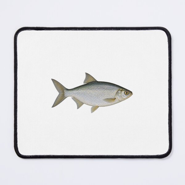 Item preview, Goldeye  designed and sold by FriendlyManitoba.