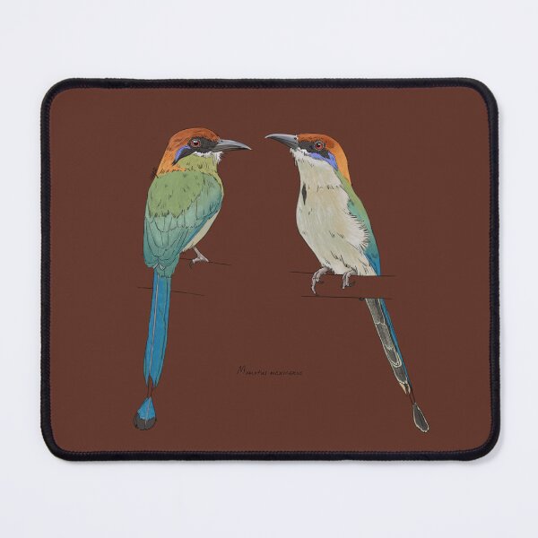 Item preview, Russet-Crowned Motmot designed and sold by Luzeilustración.