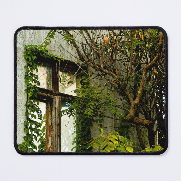 Item preview, Overgrown Window on Abandoned Wall designed and sold by Rabee Khalil Photography.