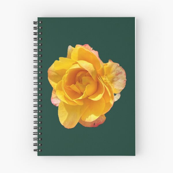 Item preview, Golden Yellow Rose Bloom - Isolated Coral Pink Tipped Rose designed and sold by BalkanBloomArt.