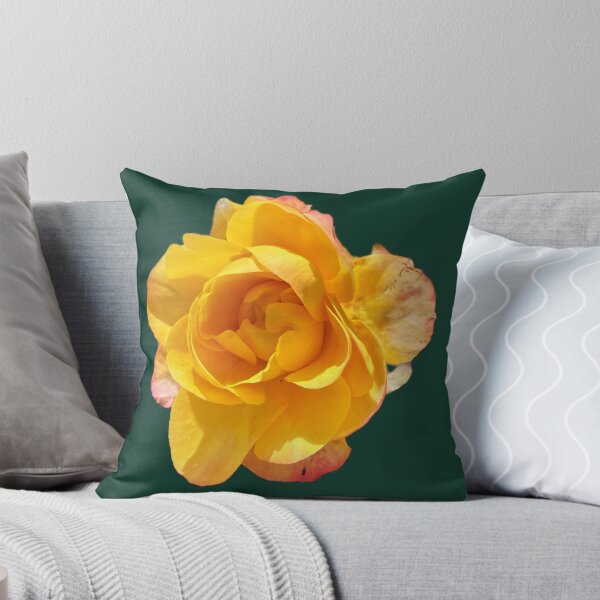 Item preview, Golden Yellow Rose Bloom - Isolated Coral Pink Tipped Rose designed and sold by BalkanBloomArt.