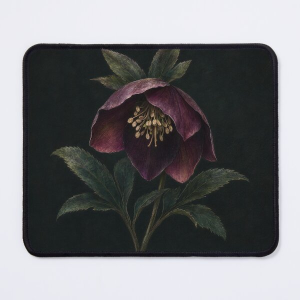 Item preview, Hellebore Dark Botanical Illustration | Moody Floral Wall Art designed and sold by FixationStudio.