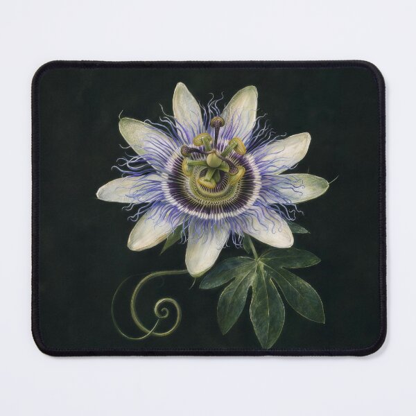 Item preview, Passionflower Dark Botanical Illustration | Moody Floral Wall Art designed and sold by FixationStudio.