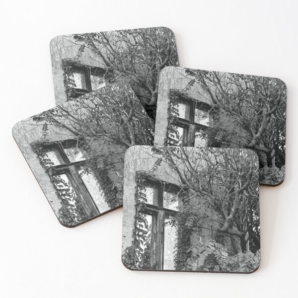 Item preview, Overgrown Window Black and White designed and sold by Rabee Khalil Photography.