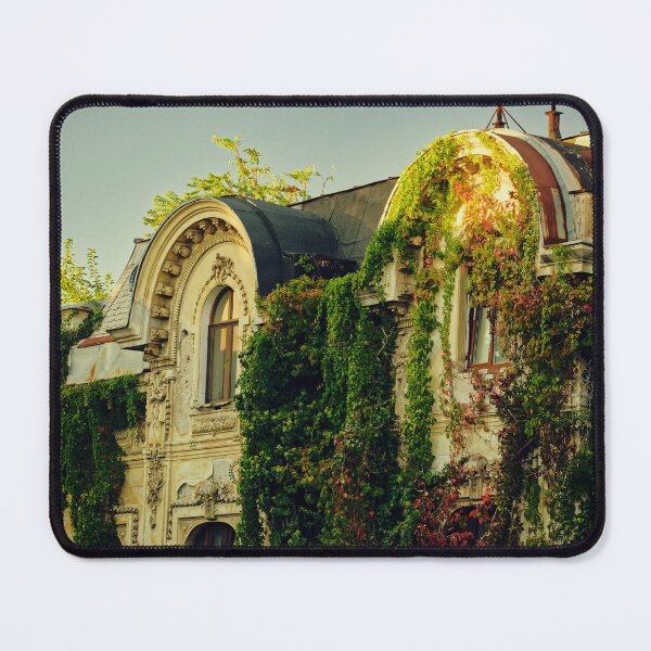 Item preview, Ivy-Covered Abandoned Building designed and sold by Rabee Khalil Photography.