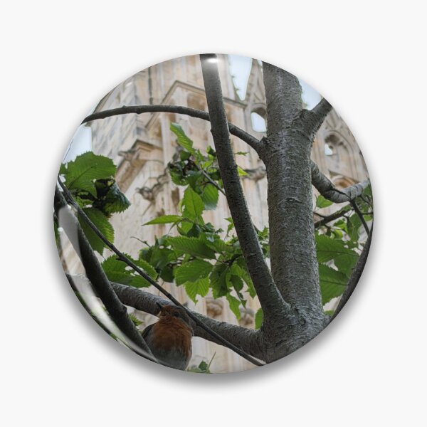 Item preview, Framed by Nature, York Minster Robin designed and sold by Astute-Artio-Photography.