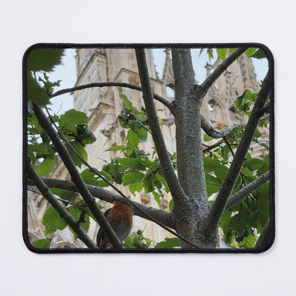 Item preview, Framed by Nature, York Minster Robin designed and sold by Astute-Artio-Photography.