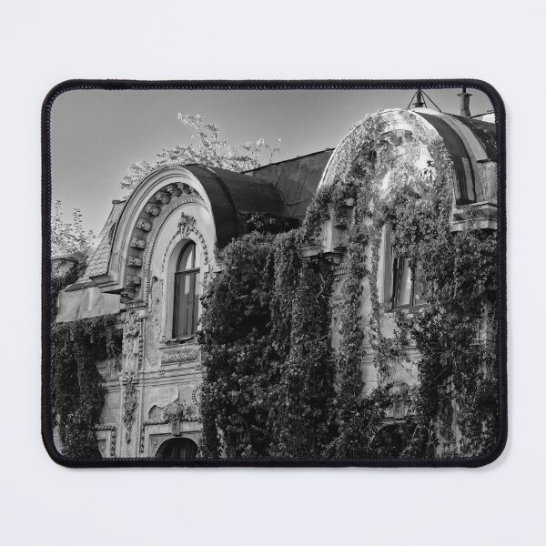 Item preview, Ivy-Covered Abandoned Building B&W designed and sold by Rabee Khalil Photography.