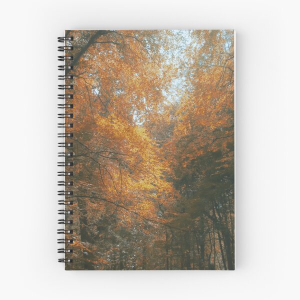 Item preview, The Woods Of Amber Gold designed and sold by Christine Lake.