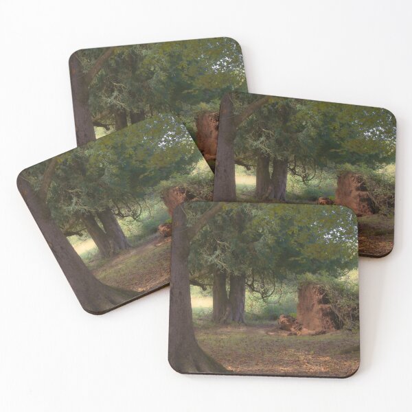 Item preview, Enchanted designed and sold by Christine Lake.