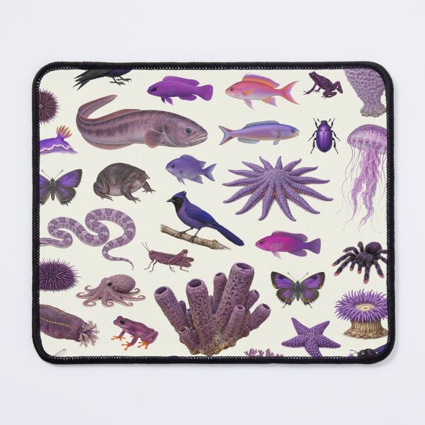 Item preview, Wild World in Purple Retro Style Identification Chart designed and sold by kakarikihill.