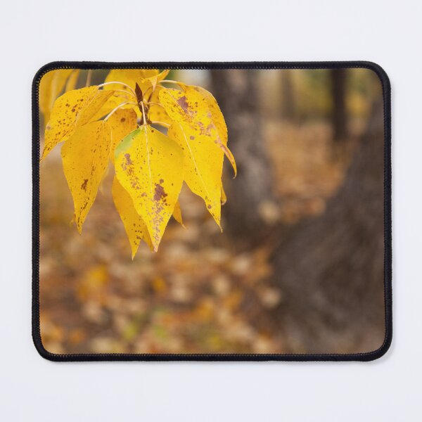 Item preview, Close up of Golden Autumn Leaves designed and sold by jklune.