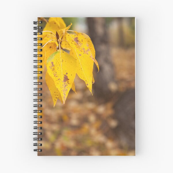 Item preview, Close up of Golden Autumn Leaves designed and sold by jklune.