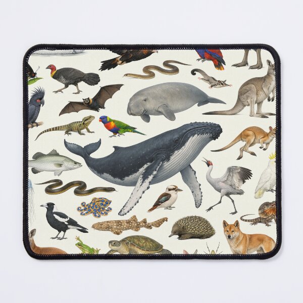 Item preview, Animals of Queensland Retro Style Identification Chart designed and sold by kakarikihill.