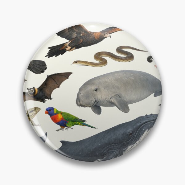Item preview, Animals of Queensland Retro Style Identification Chart designed and sold by kakarikihill.
