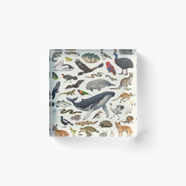 Item preview, Animals of Queensland Retro Style Identification Chart designed and sold by kakarikihill.