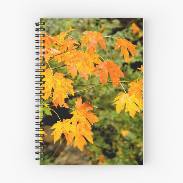 Item preview, Vibrant Autumn Maple Leaves designed and sold by jklune.