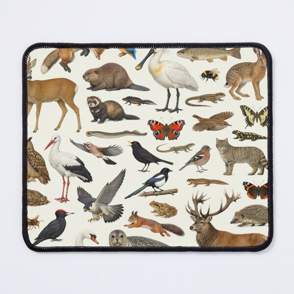 Item preview, Native Animals of Belgium Retro Style Identification Chart designed and sold by kakarikihill.