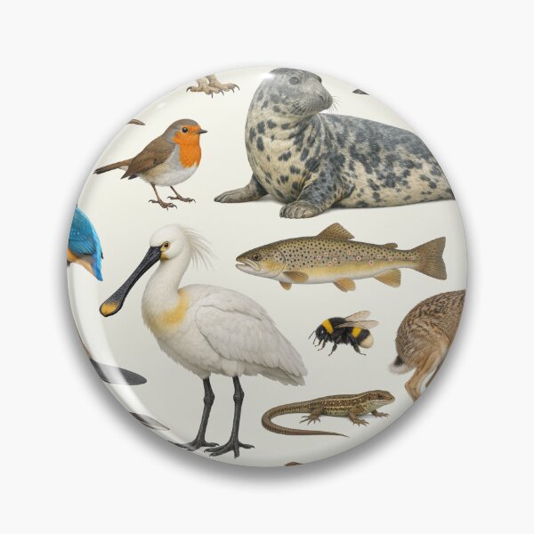 Item preview, Native Animals of Belgium Retro Style Identification Chart designed and sold by kakarikihill.