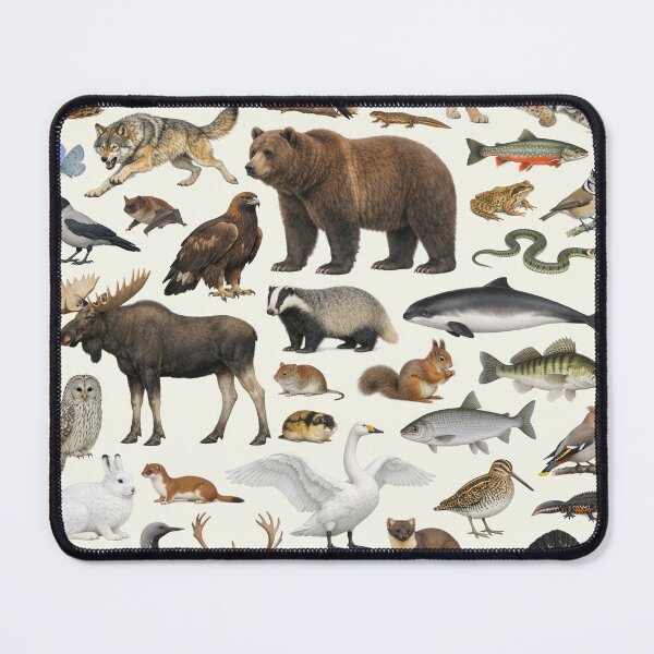 Item preview, Native Animals of Finland Retro Style Identification Chart designed and sold by kakarikihill.