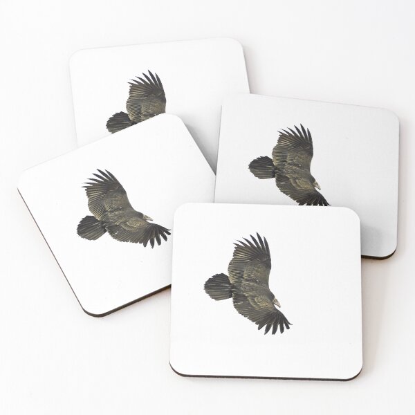 Item preview, Isolated Juvenile Turkey Vulture 10-2-2026 designed and sold by Thomasyoung.