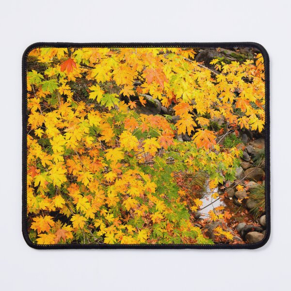 Item preview, Vibrant Autumn Foliage Over Rocks designed and sold by jklune.