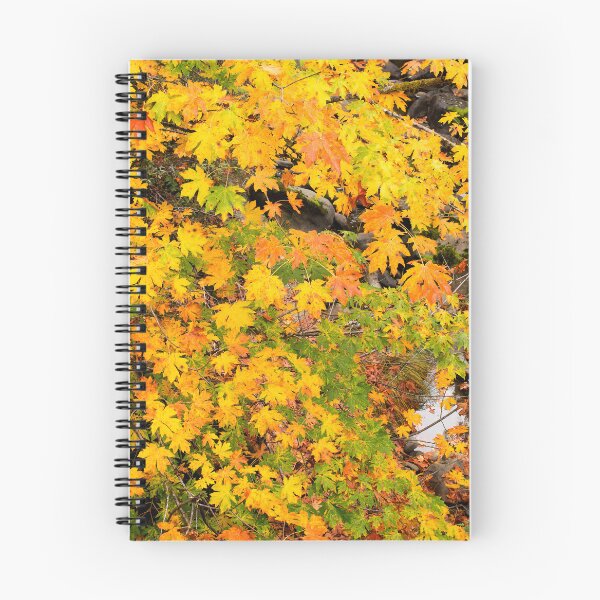 Item preview, Vibrant Autumn Foliage Over Rocks designed and sold by jklune.