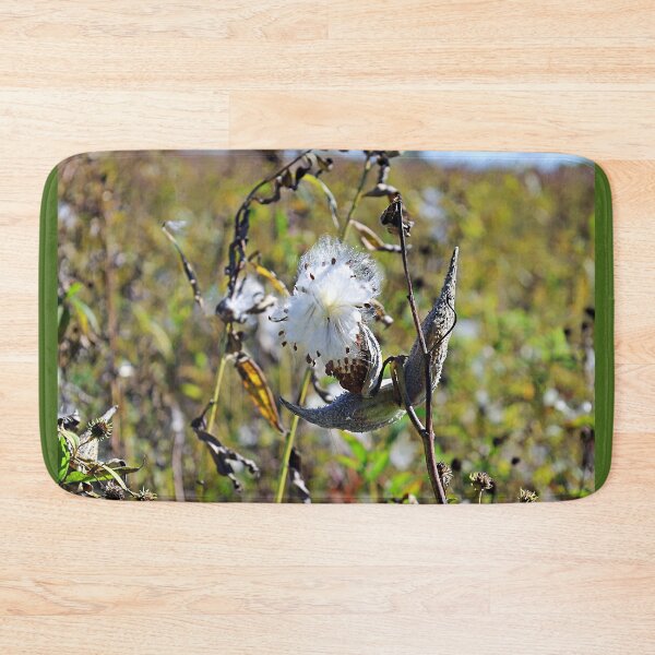 Item preview, Open Milkweed Pod in Early Fall designed and sold by Martha Sherman.