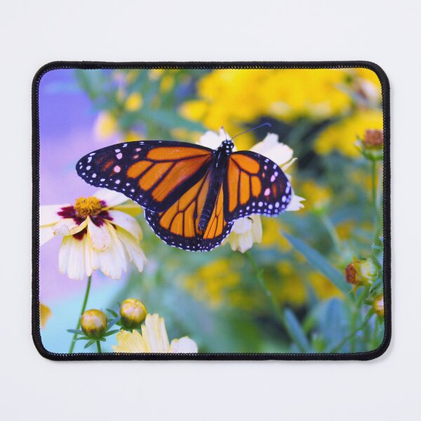Item preview, Monarch Butterfly designed and sold by Creek Nymph Photography.