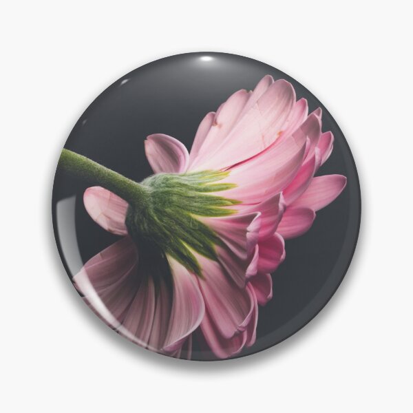 Item preview, Soft Pink Gerbera Daisy Side Profile Photography designed and sold by rilukama.