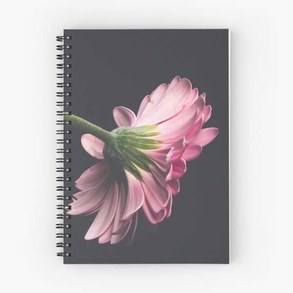 Item preview, Soft Pink Gerbera Daisy Side Profile Photography designed and sold by rilukama.