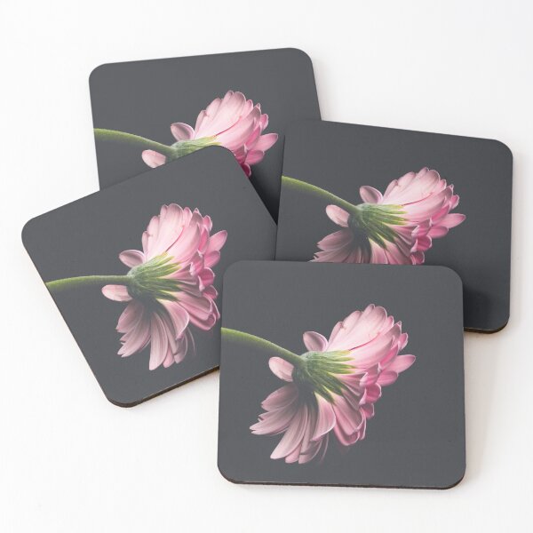 Item preview, Soft Pink Gerbera Daisy Side Profile Photography designed and sold by rilukama.