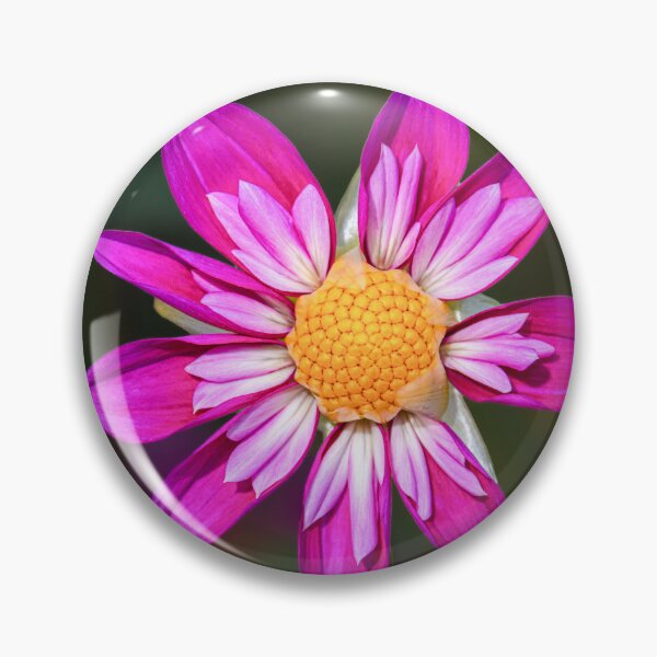 Item preview, Vibrant Magenta Pink Dahlia Close Up Macro designed and sold by rilukama.