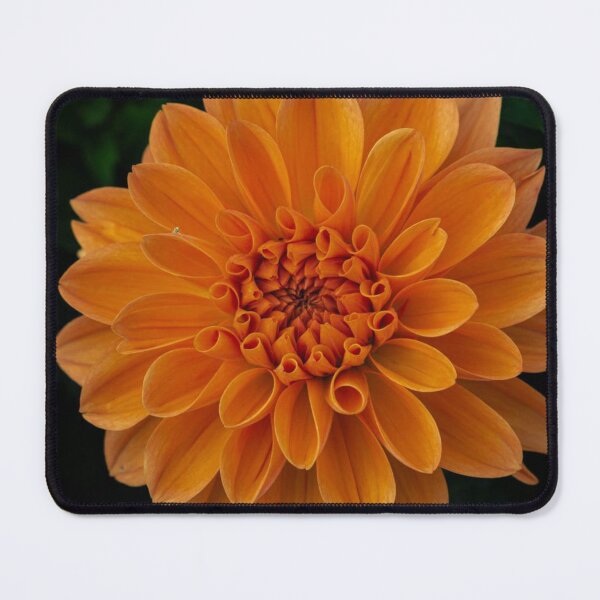 Item preview, Bright Orange Dahlia Bloom Macro Photography designed and sold by rilukama.
